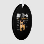 Chihuahua-Hunde-Anatomie Ornament (Vorderseite)