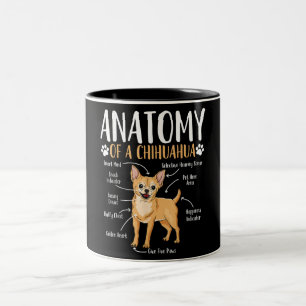 Chihuahua-Hunde-Anatomie Zweifarbige Tasse