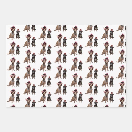 Chihuahua-Hunde in Hüten Geschenkpapier Set (Vorderseite 2)