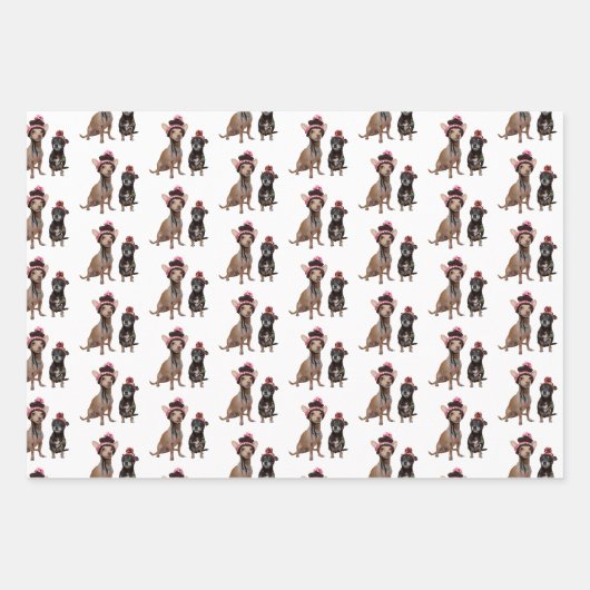 Chihuahua-Hunde in Hüten Geschenkpapier Set (Vorderseite)