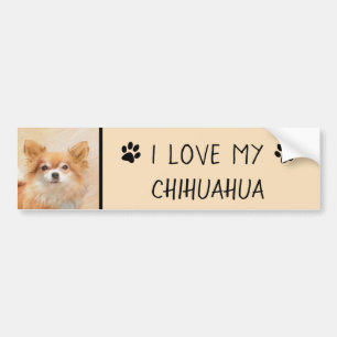 Chihuahua Hunde Malerei Original Art Autoaufkleber