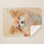 Chihuahua Hunde Malerei Original Art Sherpadecke (Vorderseite (Horizontal))