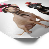 Chihuahua Hunde mit Hats-Foto Fotodruck (Ecke)