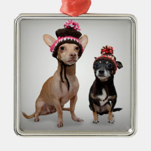 Chihuahua-Hunde mit Hut-Foto Ornament Aus Metall