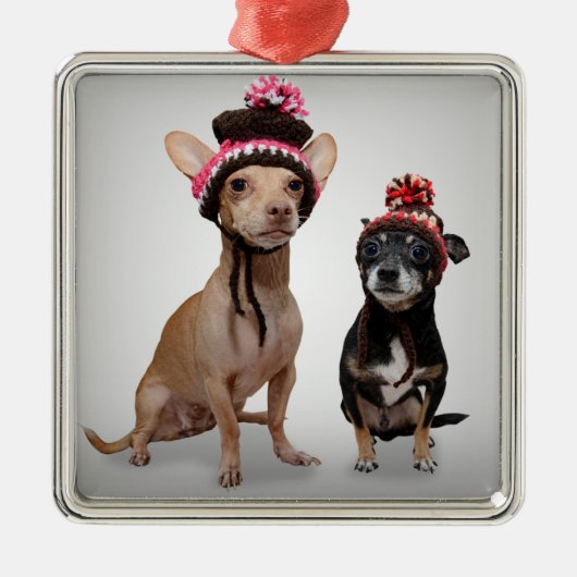 Chihuahua-Hunde mit Hut-Foto Ornament Aus Metall (Vorne)