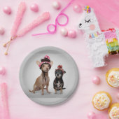 Chihuahua-Hunde mit Hut-Foto Pappteller (Party)