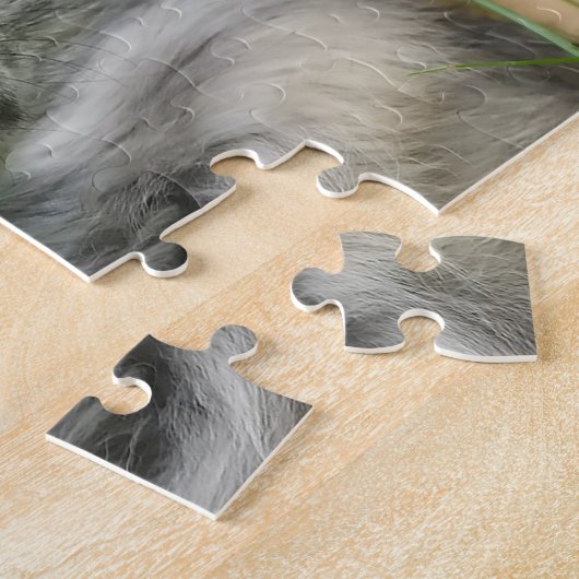 Chihuahua Hunde. Puzzle (Seite)