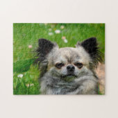 Chihuahua Hunde. Puzzle (Horizontal)