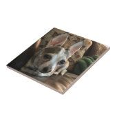Chihuahua-HundeKeramik-Fliese Fliese (Seite)