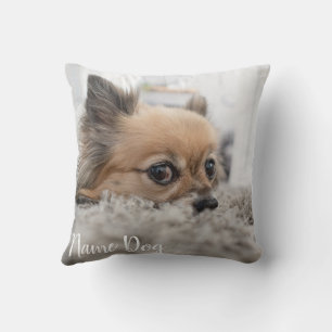 Chihuahua Hundekissen, die mit dem Namen der Katze Kissen