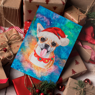 Chihuahua-Hunderasse Weihnachten