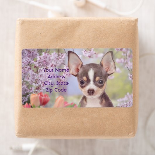 Chihuahua-Hundetiketten (Insitu)