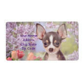 Chihuahua-Hundetiketten (Vorne)