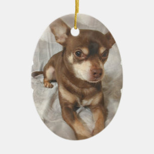 Chihuahua-Hundeverzierung Keramik Ornament