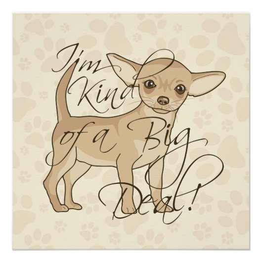 Chihuahua ich bin irgendwie ein großer Deal Poster (Vorderseite)