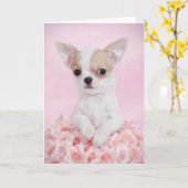 Chihuahua im Rosa mit Rosen Karte (Gelbe Blume)