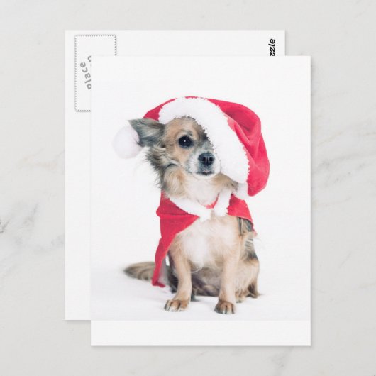 Chihuahua im Weihnachtskostüm Postkarte (Vorne/Hinten)