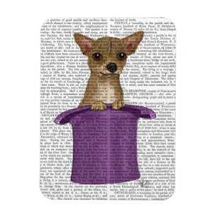 Chihuahua im Zylinder Magnet