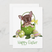 Chihuahua in der Osterkörbe Feiertagskarte (Vorne/Hinten)