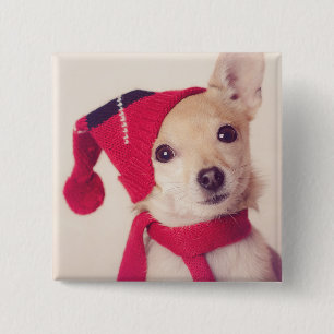 Chihuahua in der Winter-Kappe Button