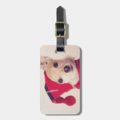 Chihuahua in der Winter-Kappe Gepäckanhänger (Vorderseite vertikal)
