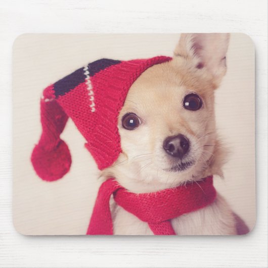 Chihuahua in der Winter-Kappe Mousepad (Vorne)