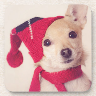 Chihuahua in der Winter-Kappe Untersetzer