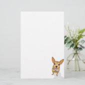 Chihuahua in einem Bowtie auf weißem Hintergrund Briefpapier (Stehend Vorderseite)