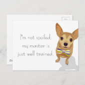 Chihuahua in einem Bowtie auf weißem Hintergrund Postkarte (Vorne/Hinten)