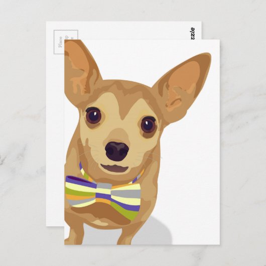 Chihuahua in einem Bowtie auf weißem Hintergrund Postkarte (Vorne/Hinten)