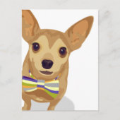 Chihuahua in einem Bowtie auf weißem Hintergrund Postkarte (Vorderseite)