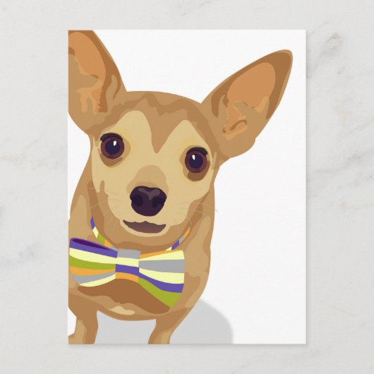 Chihuahua in einem Bowtie auf weißem Hintergrund Postkarte (Vorderseite)