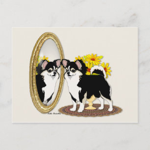 Chihuahua in einer Spiegelpostkarte Postkarte
