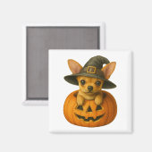 Chihuahua in Pumpkin Magnet (Vorderseite/Rückseite)