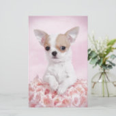 Chihuahua in Rosa mit Rose Briefpapier (Stehend Vorderseite)