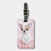 Chihuahua in Rosa mit Rose Gepäckanhänger (Vorderseite vertikal)