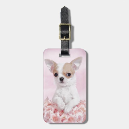 Chihuahua in Rosa mit Rose Gepäckanhänger (Vorderseite vertikal)