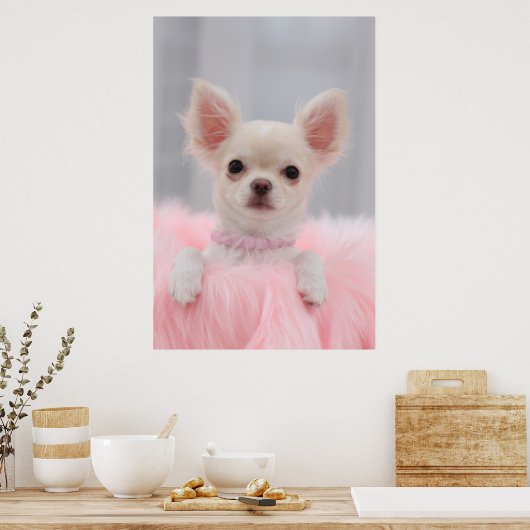 Chihuahua in Rosa Poster (Küche)