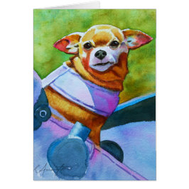 Chihuahua in Stroller