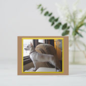 Chihuahua In The Office Postcard Postkarte (Stehend Vorderseite)