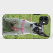 Chihuahua iphone Fall Case-Mate iPhone Hülle (Rückseite (Horizontal))
