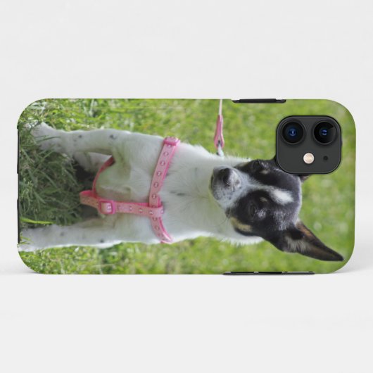 Chihuahua iphone Fall Case-Mate iPhone Hülle (Rückseite (Horizontal))