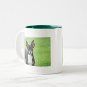Chihuahua Isabella -13 Zweifarbige Tasse (Vorderseite Links)