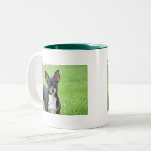 Chihuahua Isabella -13 Zweifarbige Tasse (Vorderseite Links)
