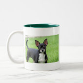 Chihuahua Isabella -13 Zweifarbige Tasse (Links)