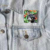 Chihuahua - Isabella - Foto 41 Button (Beispiel)