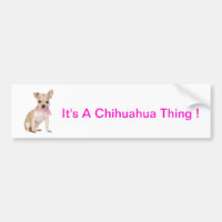 Chihuahua ist es eine Chihuahua-Sache