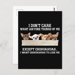 Chihuahua ist mir egal, was mir jemand denkt postkarte