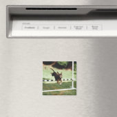 Chihuahua Jumping Hurdle Magnet (In Situ (Geschirrspüler))