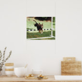 Chihuahua Jumping Hurdle Poster (Küche)